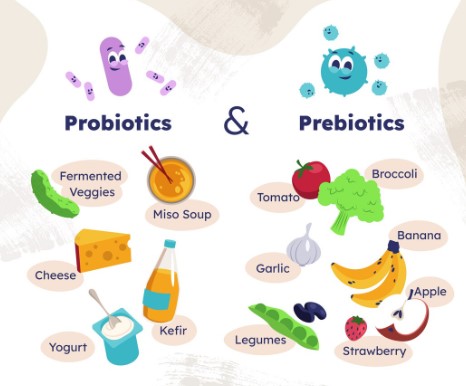 Θαυματουργά συμβιωτικά, Προβιοτικά και Πρεβιοτικά